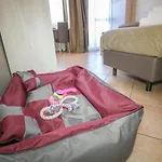 Hotel Miramonti 3*